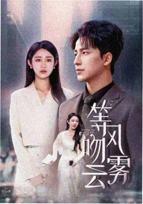 扫黑风暴在线播放